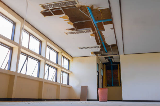 Best Basement water damage restoration  in Fiskdale, MA